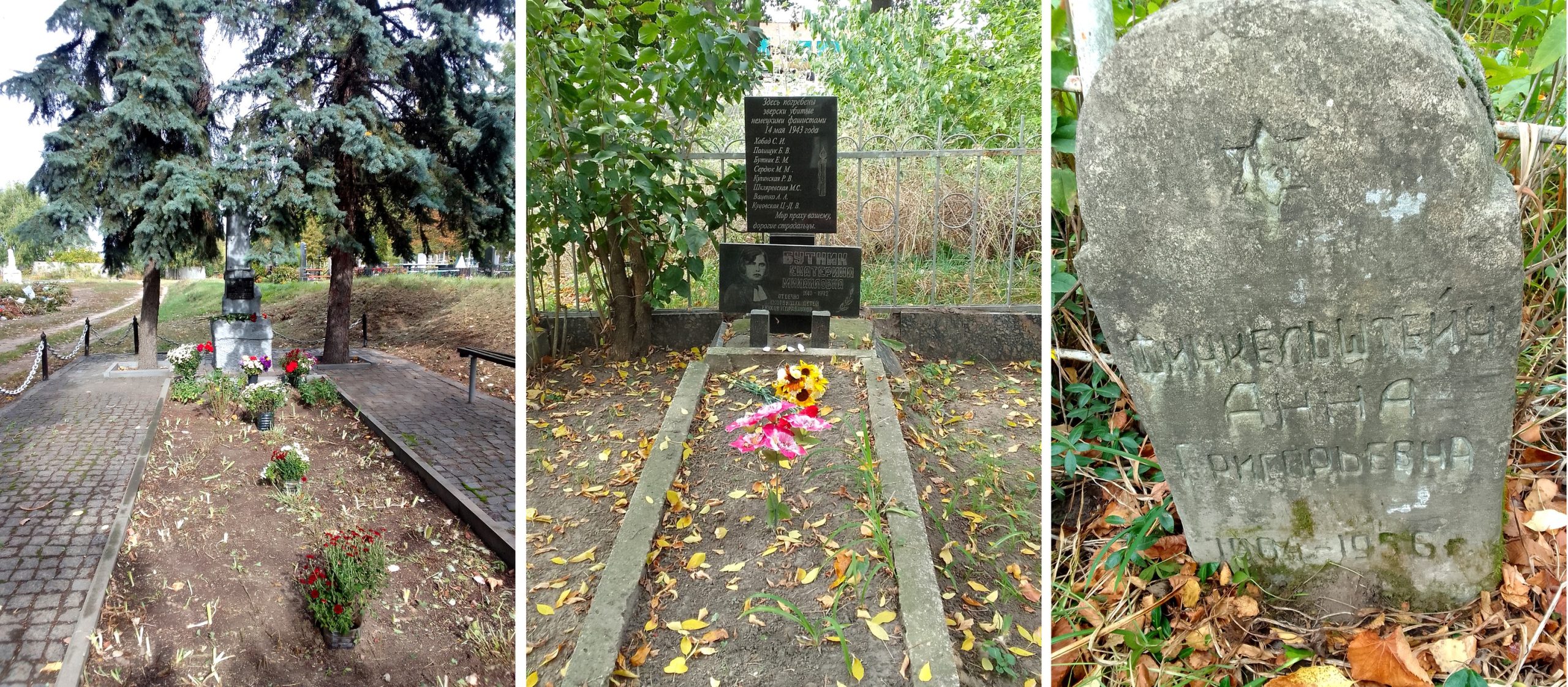 Заальтицький цвинтар